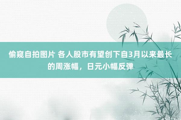 偷窥自拍图片 各人股市有望创下自3月以来最长的周涨幅，日元小幅反弹