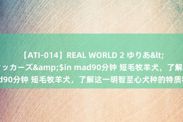 【ATI-014】REAL WORLD 2 ゆりあ</a>2004-08-26アタッカーズ&$in mad90分钟 短毛牧羊犬，了解这一明智至心犬种的特质和照拂