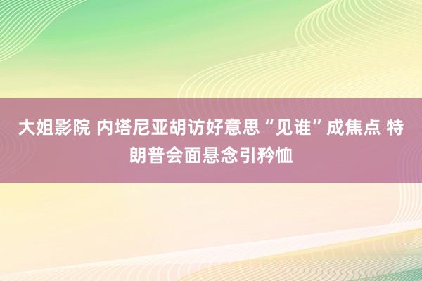 大姐影院 内塔尼亚胡访好意思“见谁”成焦点 特朗普会面悬念引矜恤