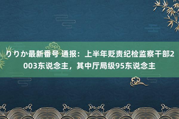 りりか最新番号 通报：上半年贬责纪检监察干部2003东说念主，其中厅局级95东说念主