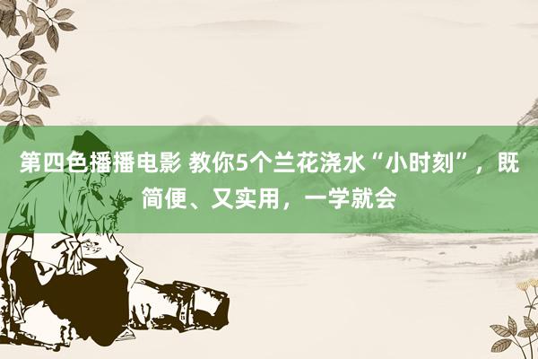 第四色播播电影 教你5个兰花浇水“小时刻”，既简便、又实用，一学就会