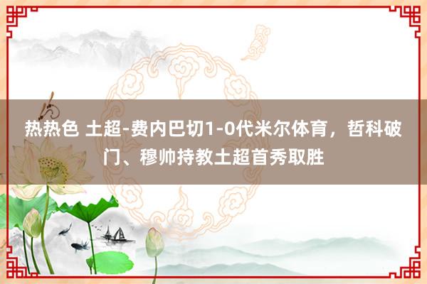 热热色 土超-费内巴切1-0代米尔体育，哲科破门、穆帅持教土超首秀取胜