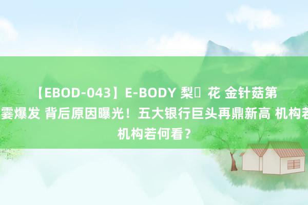 【EBOD-043】E-BODY 梨々花 金针菇第一股一霎爆发 背后原因曝光！五大银行巨头再鼎新高 机构若何看？