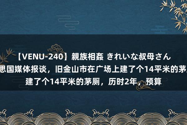 【VENU-240】親族相姦 きれいな叔母さん 高梨あゆみ 据好意思国媒体报谈，旧金山市在广场上建了个14平米的茅厕，历时2年，预算