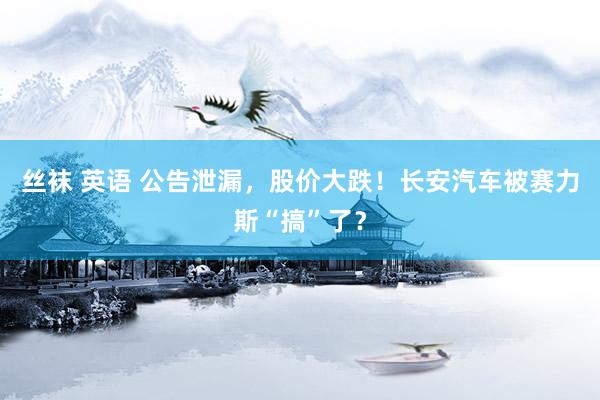 丝袜 英语 公告泄漏，股价大跌！长安汽车被赛力斯“搞”了？