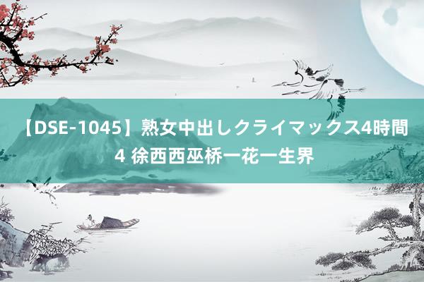 【DSE-1045】熟女中出しクライマックス4時間 4 徐西西巫桥一花一生界