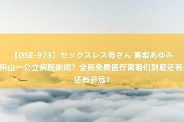 【DSE-973】セックスレス母さん 高梨あゆみ 四川乐山一公立病院倒闭？全民免费医疗离咱们到底还有多远？