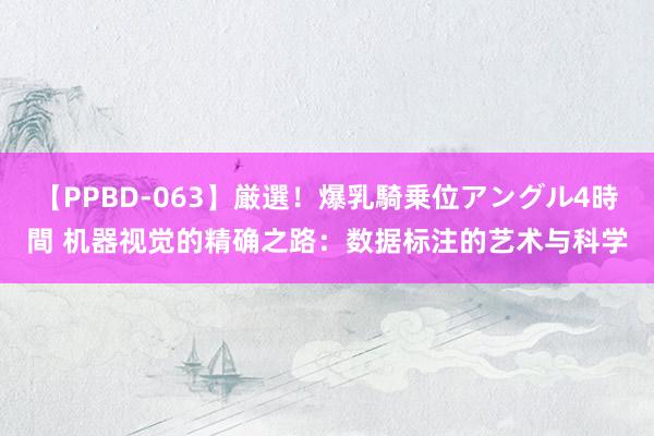 【PPBD-063】厳選！爆乳騎乗位アングル4時間 机器视觉的精确之路：数据标注的艺术与科学