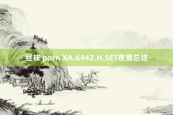 丝袜 porn XA.6442.H.SET夜鹰总结