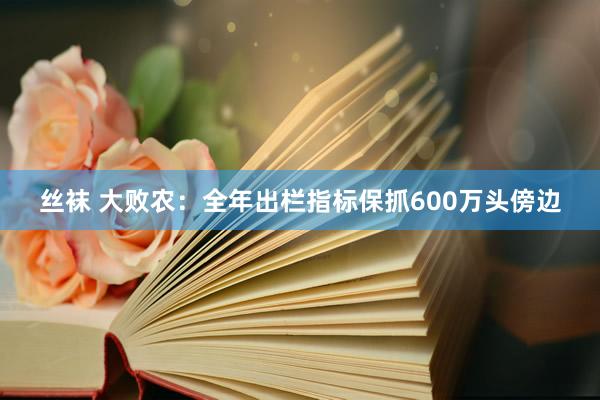 丝袜 大败农：全年出栏指标保抓600万头傍边