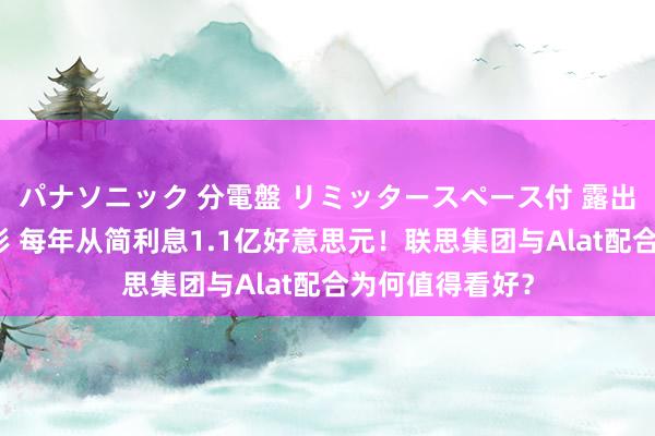 パナソニック 分電盤 リミッタースペース付 露出・半埋込両用形 每年从简利息1.1亿好意思元！联思集团与Alat配合为何值得看好？