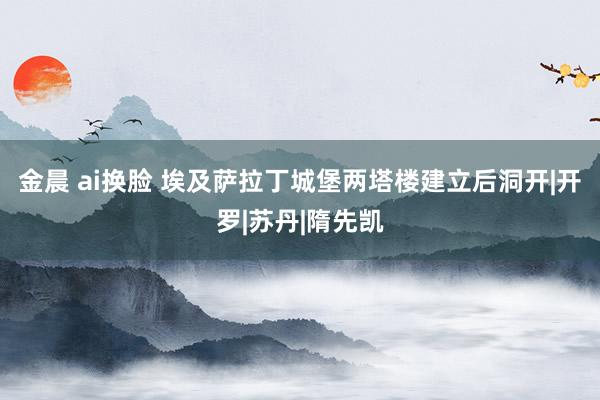 金晨 ai换脸 埃及萨拉丁城堡两塔楼建立后洞开|开罗|苏丹|隋先凯