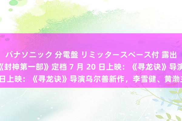 パナソニック 分電盤 リミッタースペース付 露出・半埋込両用形 电影《封神第一部》定档 7 月 20 日上映：《寻龙诀》导演乌尔善新作，李雪健、黄渤主演