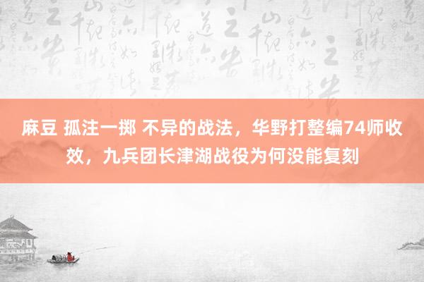 麻豆 孤注一掷 不异的战法，华野打整编74师收效，九兵团长津湖战役为何没能复刻