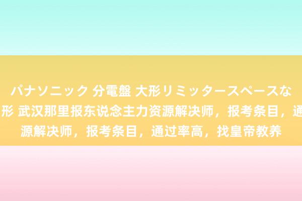 パナソニック 分電盤 大形リミッタースペースなし 露出・半埋込両用形 武汉那里报东说念主力资源解决师，报考条目，通过率高，找皇帝教养