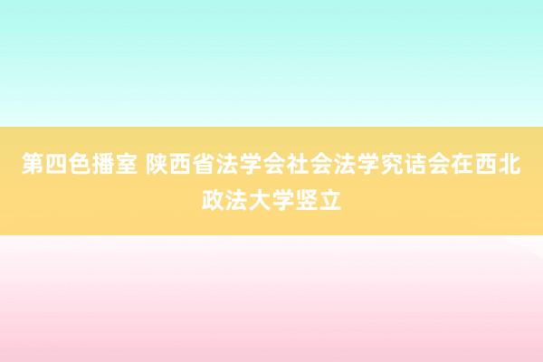 第四色播室 陕西省法学会社会法学究诘会在西北政法大学竖立