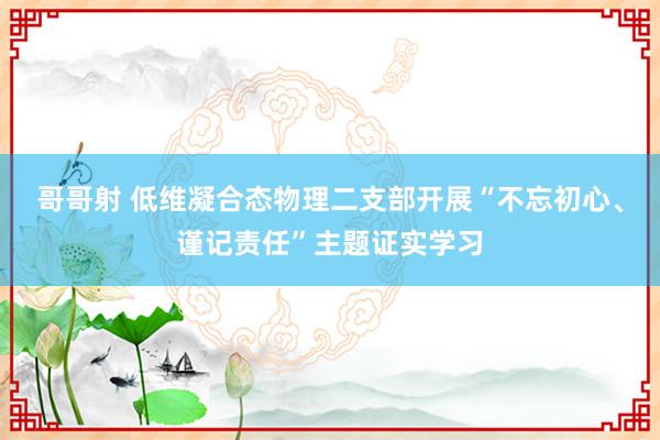 哥哥射 低维凝合态物理二支部开展“不忘初心、谨记责任”主题证实学习